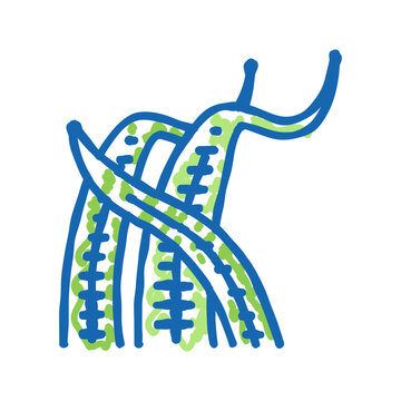 cryptocoryne balansae icon doodle illustration