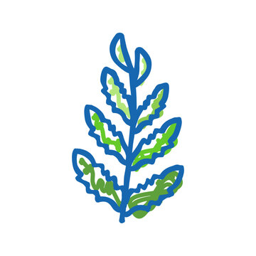 african water fern icon doodle illustration