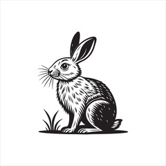 Bunny Silhouette Clipart | Black Rabbit Outline on White Background