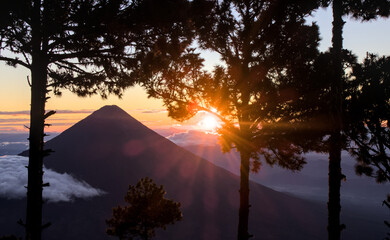 beautiful landscape view of guatemalan highlands mountains with pine trees and vulcan de agua volcano from acatenango basecamp (hike hiking trekking) famous travel destination sunrise sun shine trees