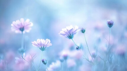 Delicate pastel wildflowers are swaying gently in the daylight