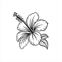 Hibiscus Flower Silhouette Clipart | Black Tropical Bloom Outline on White Background