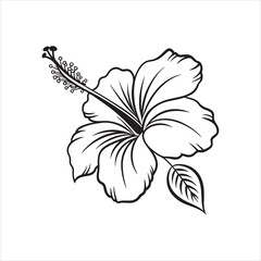 Hibiscus Flower Silhouette Clipart | Black Tropical Bloom Outline on White Background