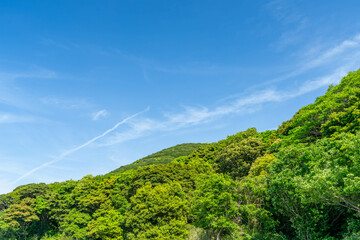 Obraz premium 新緑の山と青空