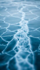 view of a body of water from above