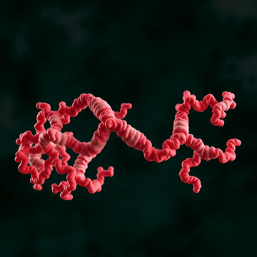 Cyclin-dependent kinase 6 (CDK6) bound to the inhibitor ribociclib. Enzyme involved in cell cycle regulation and target of several antitumoral drugs.