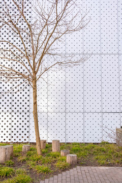 Minimalist courtyard with a single tree and circular concrete seating in front of a perforated metal wall in Copenhagen. Urban stillness and architectural clarity.