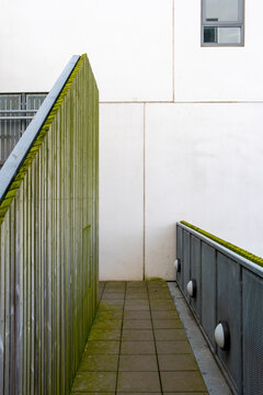 Narrow architectural corridor with green moss-lined concrete walls and industrial textures in Copenhagen, Denmark. Strong vertical lines and perspective.