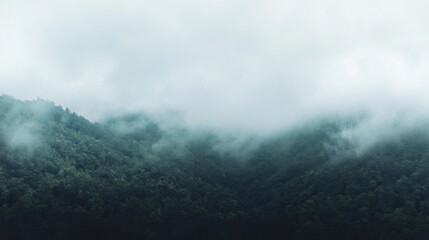 Misty mountain, Green forest hill obscured by fog, serene nature scene