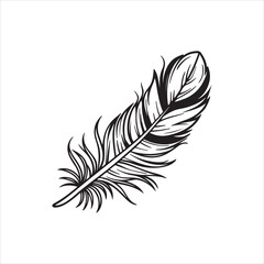 Obraz premium Fluffy Feather Silhouette Clipart | Soft Feather Outline on White Background