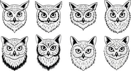 Eight detailed owl heads in black and white line art style vector illustration for wildlife designs and nature projects 