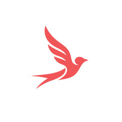 Modern Bird Logo Design Concepts