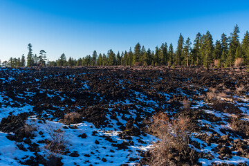 Newberry National Volcanic Monument's Lava Cast Forest Trail sits under a dusting of snow on a sunny afternoon near La Pine, Oregon.