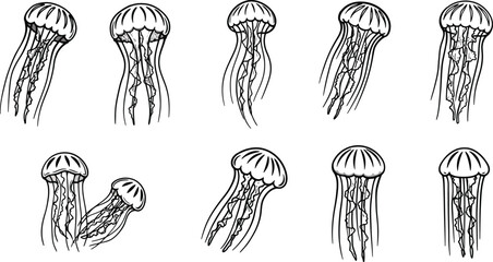 Seahorse silhouette and line art set with black and white styles in vector illustration for design projects 