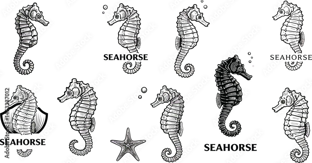 Poster seahorse silhouette and outline vector collection with multiple styles and side profiles for design 