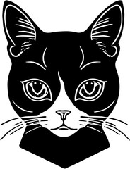 black and white cat head