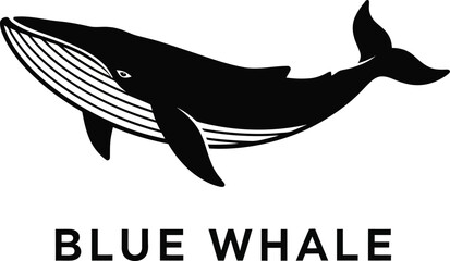 Blue whale marine animal silhouette with text black and white vector illustration ocean mammal sea creature design 