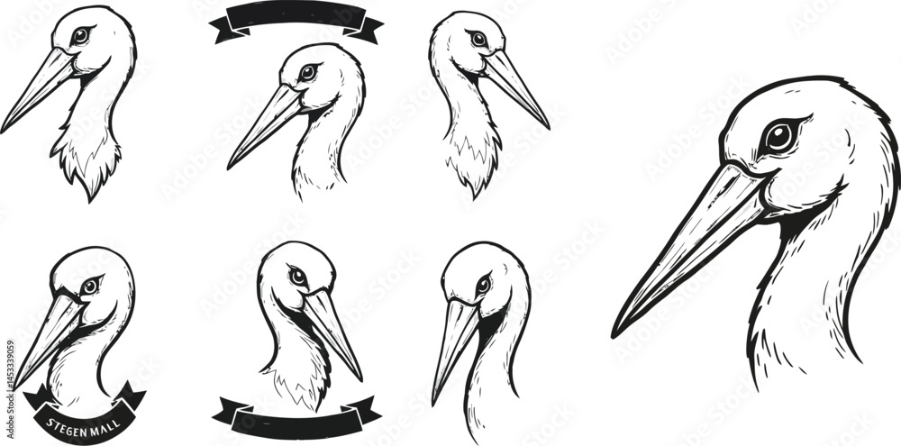 Poster pelican bird head sketches set with various expressions and accessories for design and illustration 