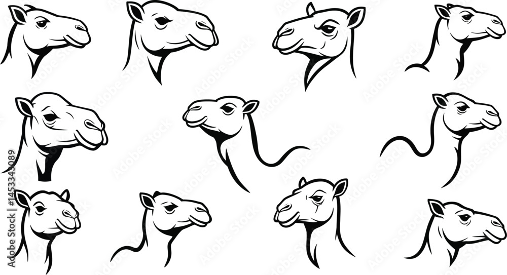 Poster camel head black and white vector illustration set showing different angles and expressions for desi