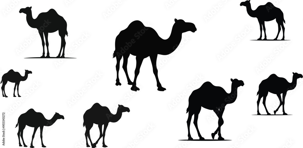 Poster camel silhouette vector collection in black and white with various poses and styles for design and i