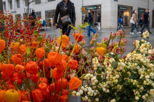 Charming outdoor flower shop in Vienna with vibrant floral arrangements, customers browsing fresh blooms, and cozy urban atmosphere perfect for seasonal celebration