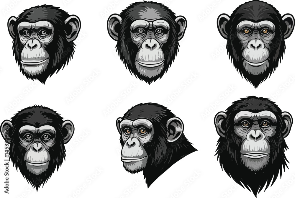 Poster collection of rat and mouse head vector illustrations showing various angles and expressions for des