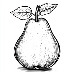 Hand-drawn sketch of a pear with leaves on top, showcasing intricate details and vintage style