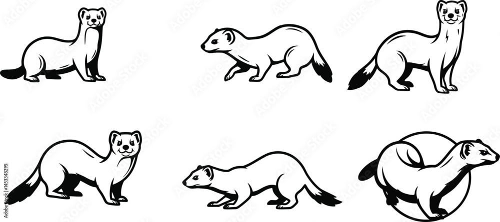Aufkleber set of playful ferret illustrations in various poses showing movement and rest natural animal behavi