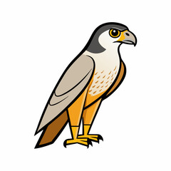 bird of prey