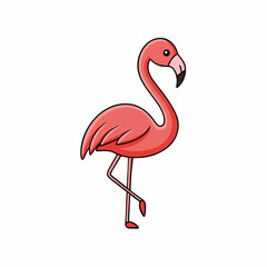 flamingo vector illustration