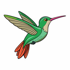 hummingbird and flower