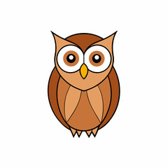 owl on white background