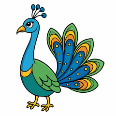 peacock vector illustration