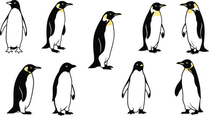 Fototapeta premium Penguin silhouette minimalistic black and white vector illustration for design and decoration purposes 
