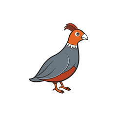 pheasant isolated on white background