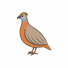 bird on a white background