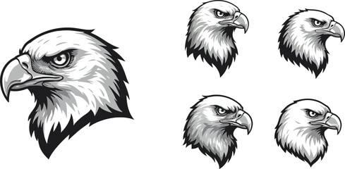 Eagle head vector illustration set with detailed black and white ink style for wildlife and bird design elements 
