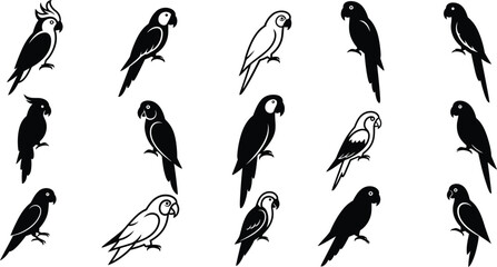 Various Parrots Vector Illustration Black and White Detailed Bird Silhouettes and Line Art Collection 