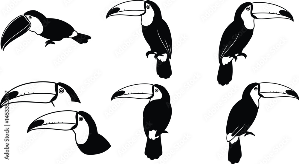 Poster Toucan bird vector illustrations showing various poses and profiles in black and white design for creative projects 