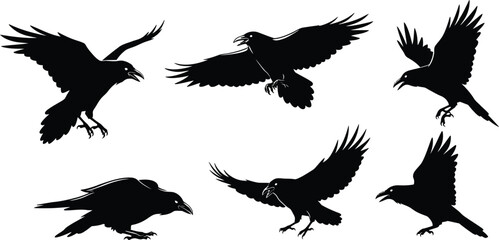 Silhouettes of flying and perched crow birds in various dynamic poses vector illustration 