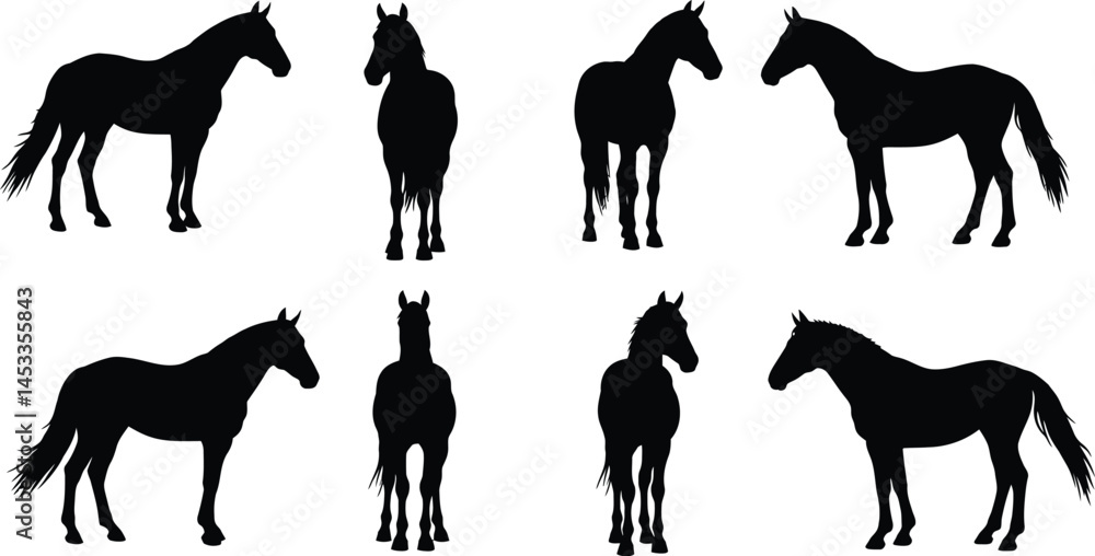 Poster silhouette horses vector set in black for artistic and design use with multiple poses and angles