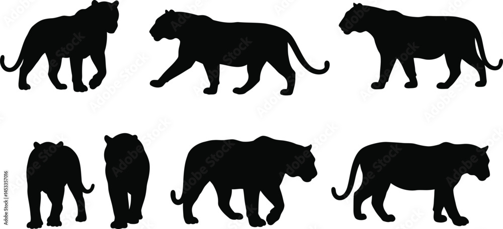 Poster panther silhouette vector set showing walking and standing big cats in various poses for design use