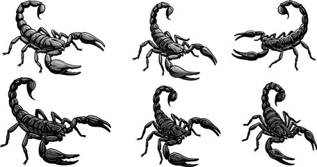 Scorpion vector illustration showing six detailed black scorpions in various poses and angles for graphic design and decoration 