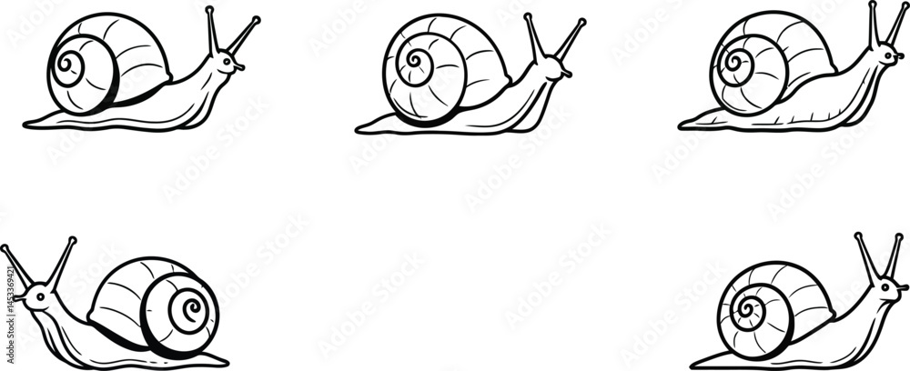 Poster snail line art vector illustration set showing various side views and poses of snails in black outli