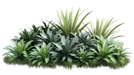 Obraz premium Explore Lush Greenery, Garden Plants Variety with Grass Texture and Landscape