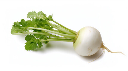Fresh White Radish with Green Tops on White Background