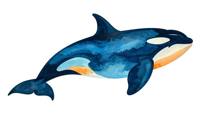 Obraz premium an orca, a majestic creature of the sea, depicted in watercolor art style, showcasing its striking black and white pattern.
