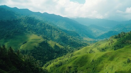 Obraz premium Lush green terraced landscape with mountains and forest, aerial shot.