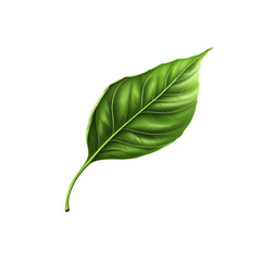 Single Vibrant Green Leaf Isolated on Black Background