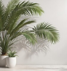 Obraz premium Crisp shadow of palm fronds on bright white wall Tropical, summer vibe , tropical, minimal